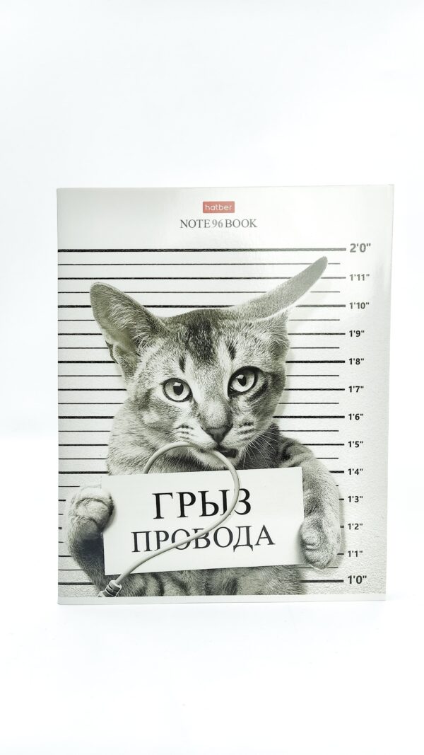 Тетрадь общая Hatber Грыз провода 96л арт.18685