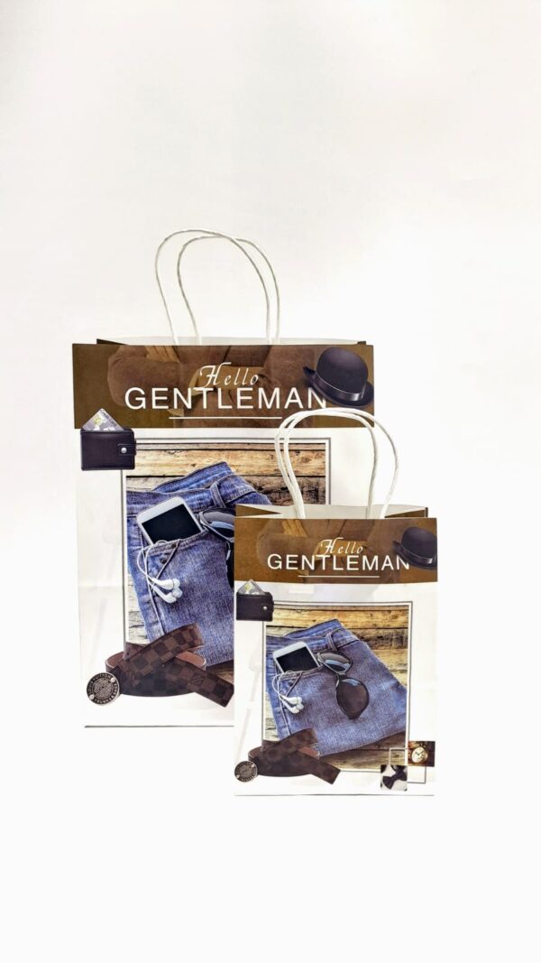 Пакет подарочный Hello Gentleman 32,5*25,5*12,5см арт.jk1648a-1 коричневый