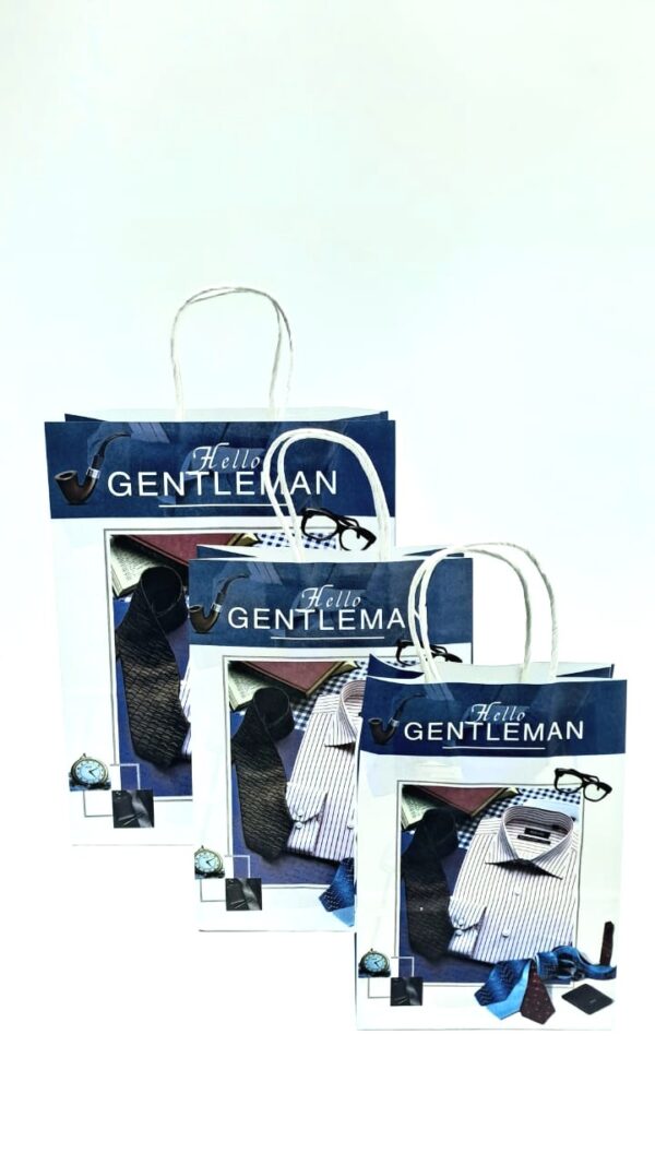 Пакет подарочный Hello Gentleman 25*18,5*10см арт.jk1648b-3 синий