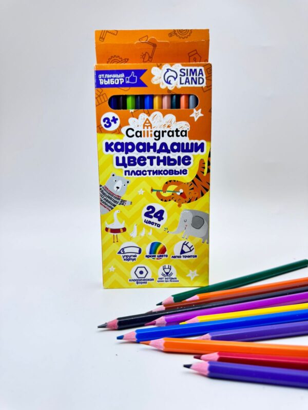 Цветные карандаши Calligrata 24цв арт.6826844
