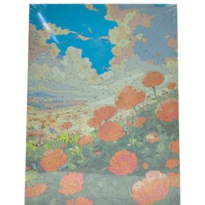Картина по номерам красками 30*40см арт.omt112