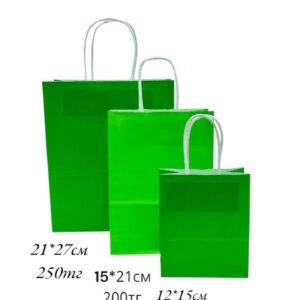 Пакет подарочный крафт 21*27см арт.pk12 зеленый