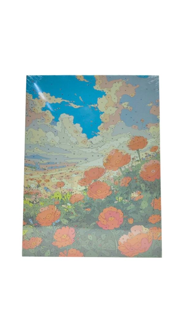 Картина по номерам красками 30*40см арт.omt103