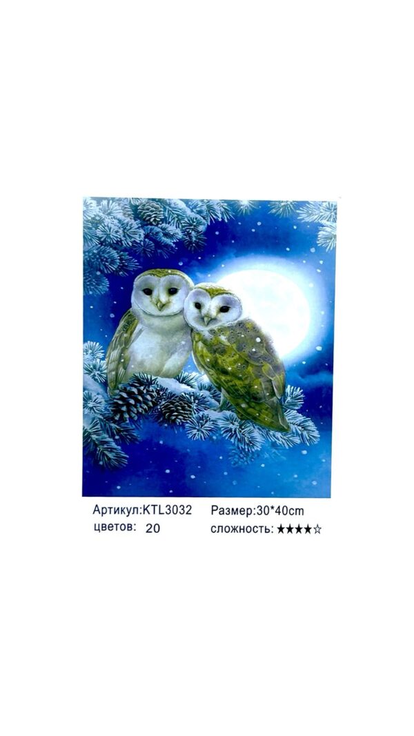 Рисование по номерам 30*40см арт.ktl3032 Совы