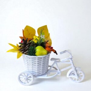 Композиция Осенний велосипед 22*15см арт.tr2481
