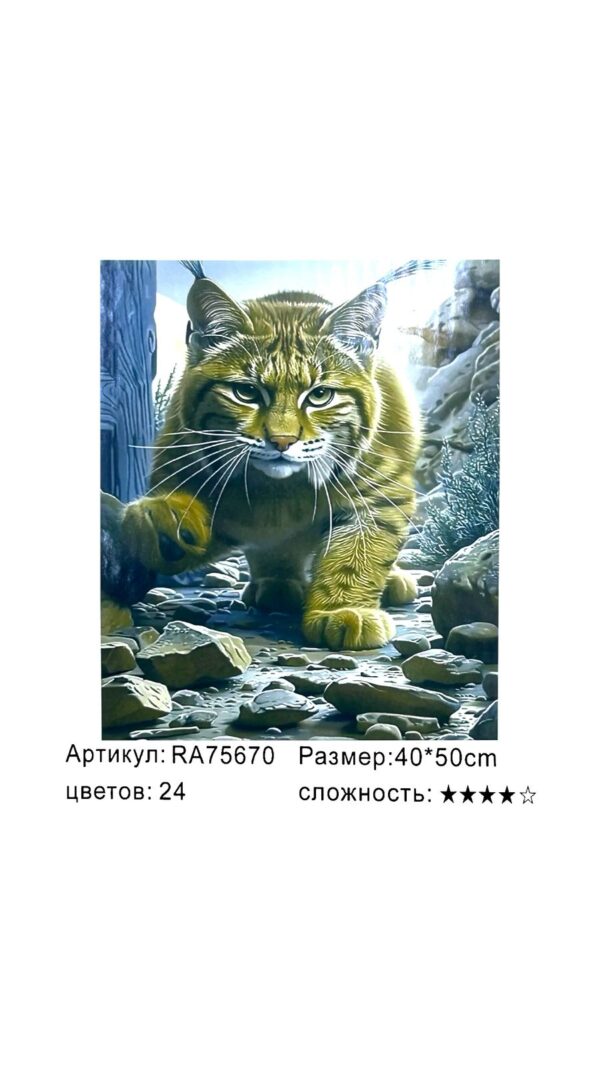 Рисование по номерам 40*50см арт.ra75670 Рысь