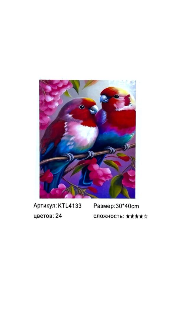 Рисование по номерам 30*40см арт.ktl4133 Попугаи