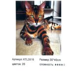 Рисование по номерам 30*40см арт.ktl3516 Бенгальская кошка