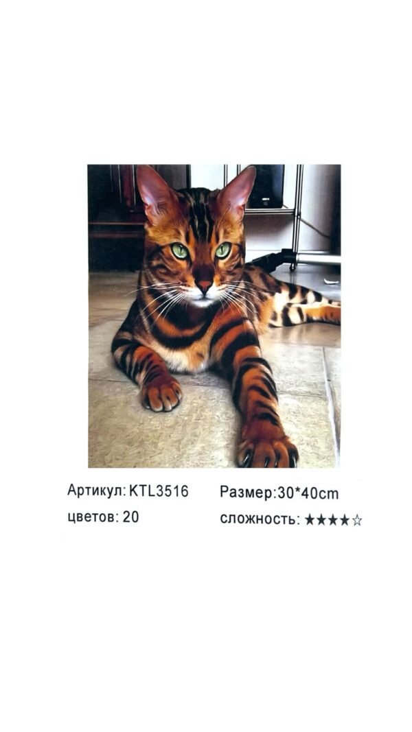 Рисование по номерам 30*40см арт.ktl3516 Бенгальская кошка