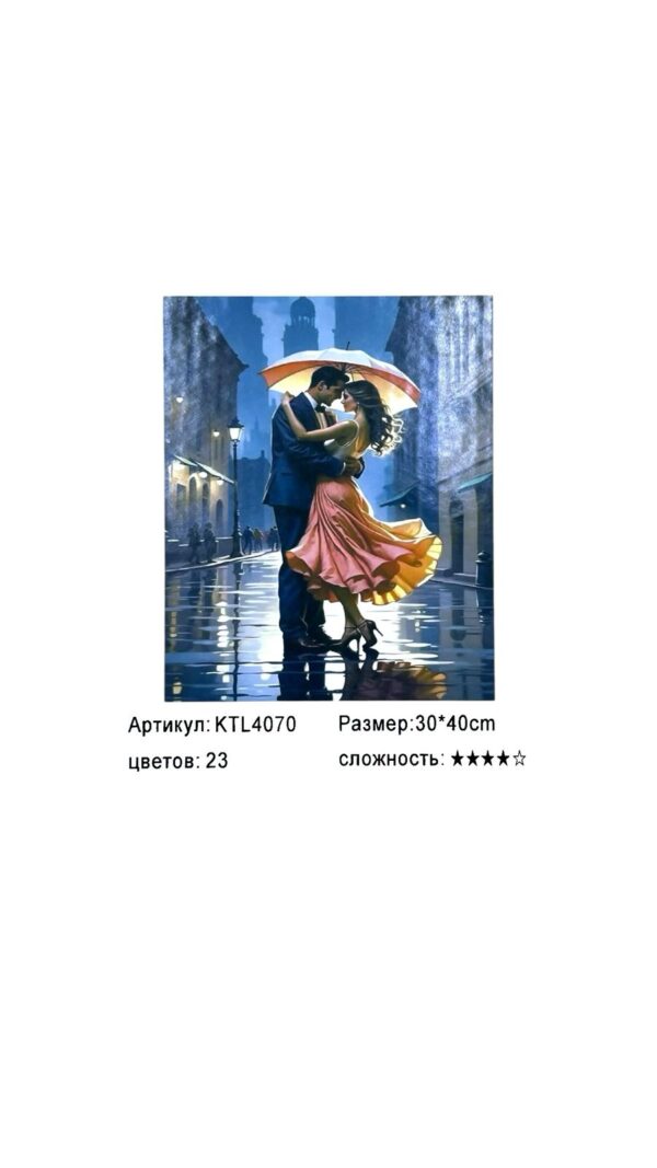 Рисование по номерам 30*40см арт.ktl4070 Танец под дождем