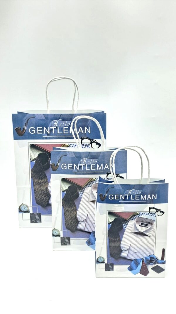Пакет подарочный Hello Gentleman 21*15*8см арт.jk1648c-3 синий