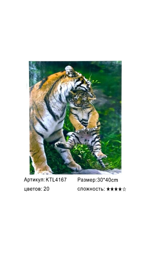 Рисование по номерам 30*40см арт.ktl4167 Бенгальские тигры
