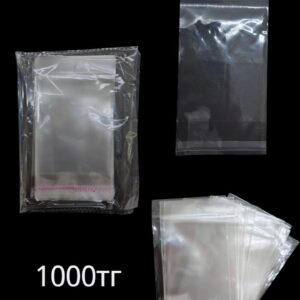 Пакет с европодвесом 17*9см уп 100шт арт.tr2468
