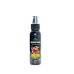 Ароматизатор Air Freshener Барбарис 100мл 1500тг