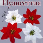 Пуансеттия уп 4шт 1000тг