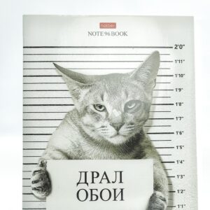 Тетрадь общая Hatber Драл обои 96л арт.18684