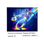 Рисование по номерам 20*30см арт.gyrs2048 футболист