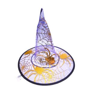 Шляпа Ведьмы арт.tr3114 фиолетовая