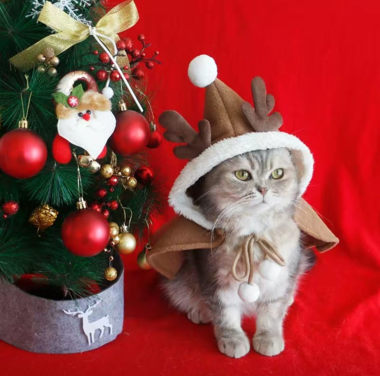 Одежда новогодняя для кошек 2500тг Одежда новогодняя для кошек 2500тг