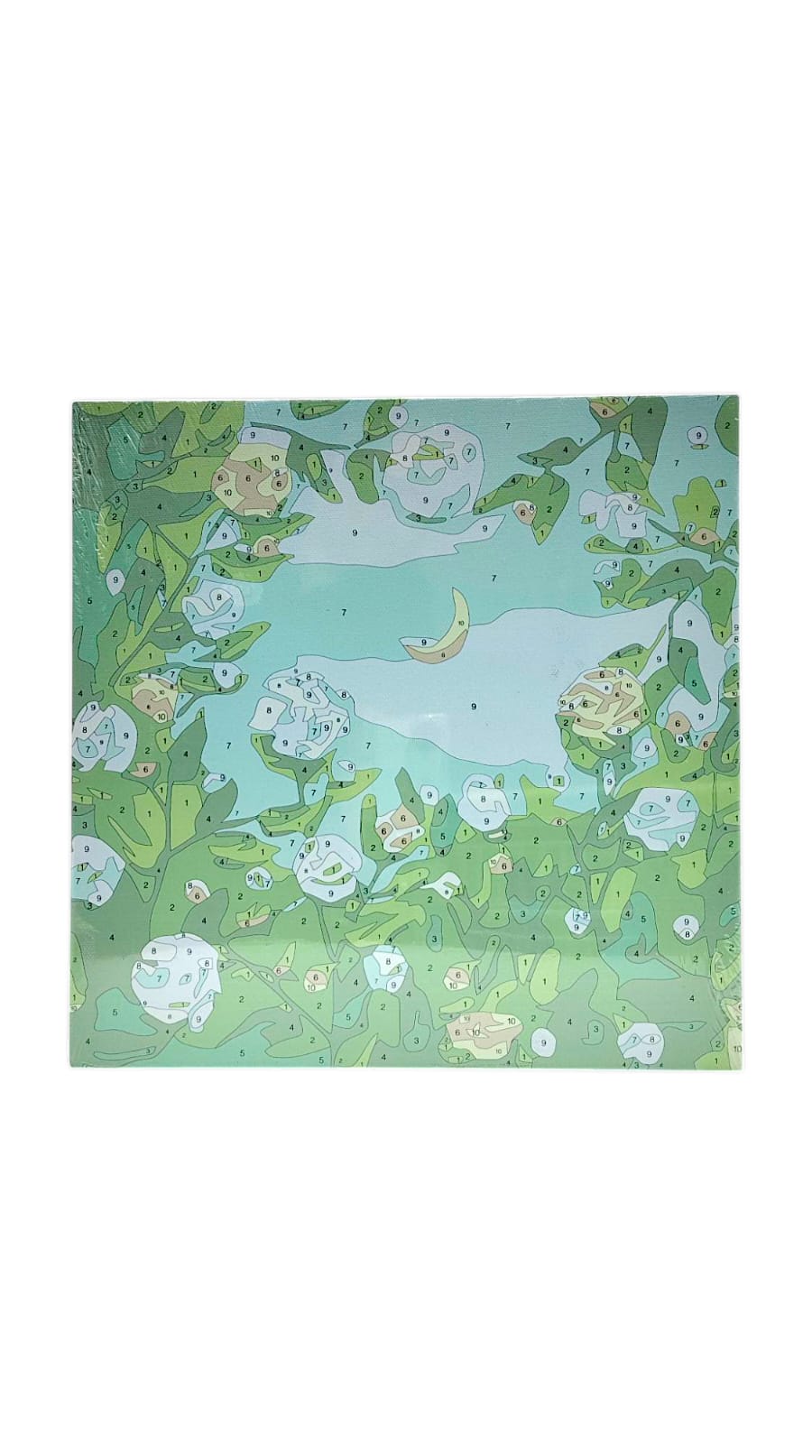 Картина по номерам красками 30*30см арт.stl099 цветы зеленые Картина по номерам красками 30*30см арт.stl099 цветы зеленые