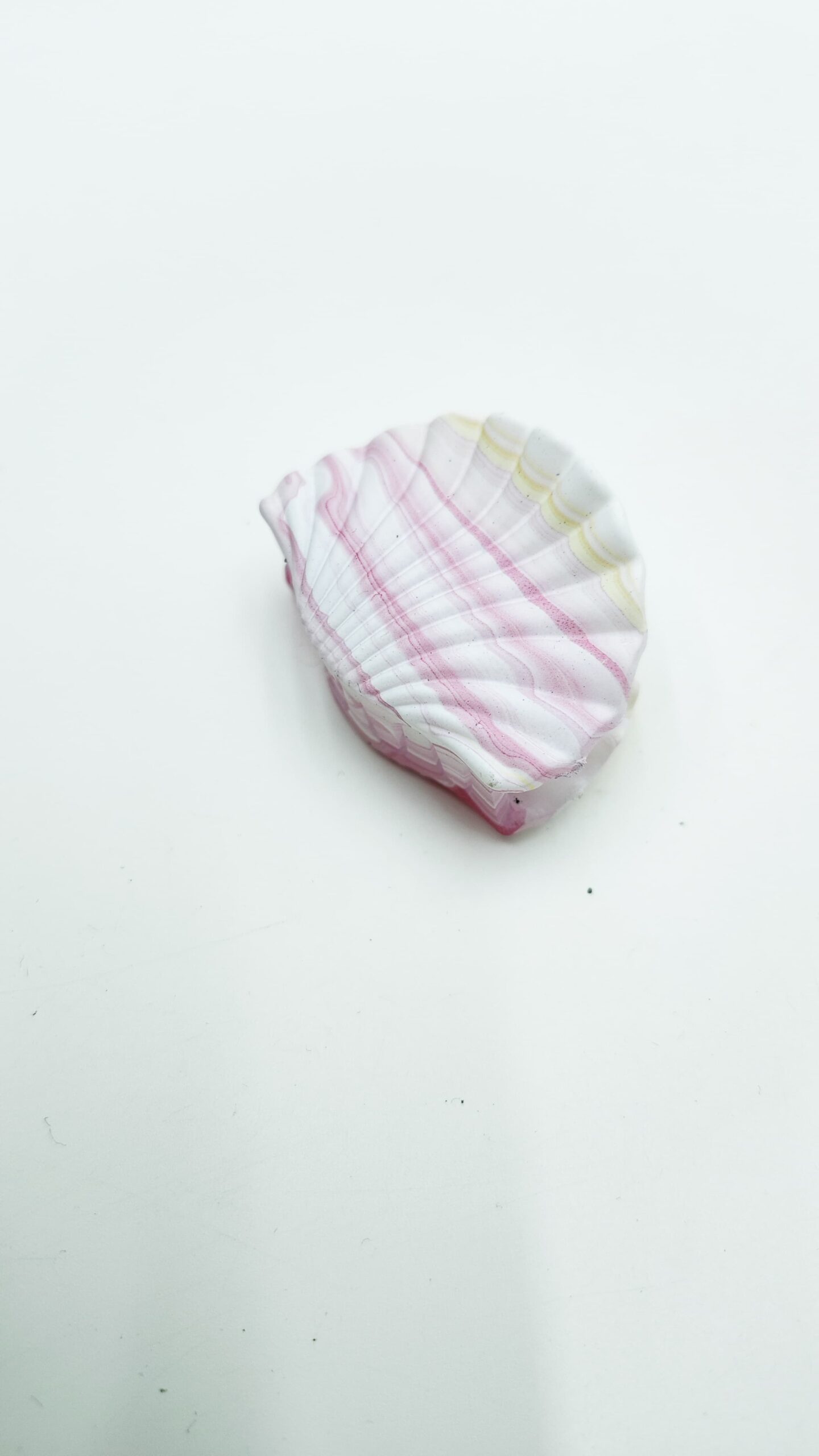 Крабик Ракушка 4,5*3,5см арт.tr446 розовый Крабик Ракушка 4,5*3,5см арт.tr446 розовый