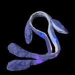 Ободок мех Зайка светящийся арт.tr3178 фиолетовый