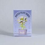 Конструктор Potted Plant Series арт.w1504-12 100деталей