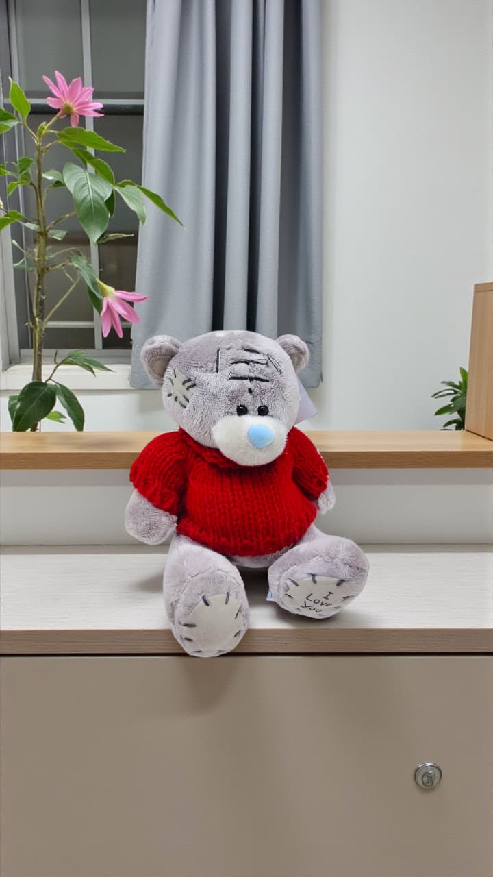 Мягкая игрушка Тедди 25см арт.tr2824 2600тг Мягкая игрушка Тедди 25см арт.tr2824 2600тг