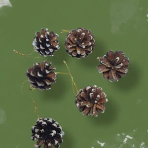 Шишки на елку уп 6шт 450тг