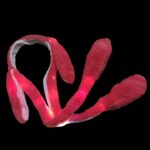 Ободок мех Зайка светящийся арт.tr3186 кораловый