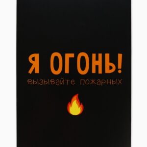 Ежедневник Я огонь вызывайте пожарных А5 80л арт.5148861