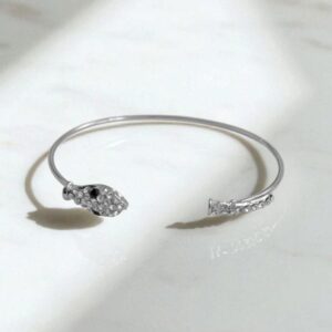 Браслет титан маленькая Змейка со стразами арт.tr1788 серебро