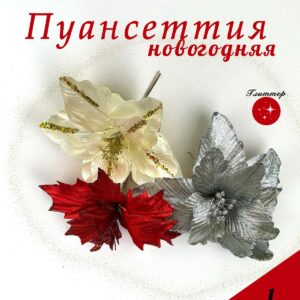 Пуансеттия 800тг