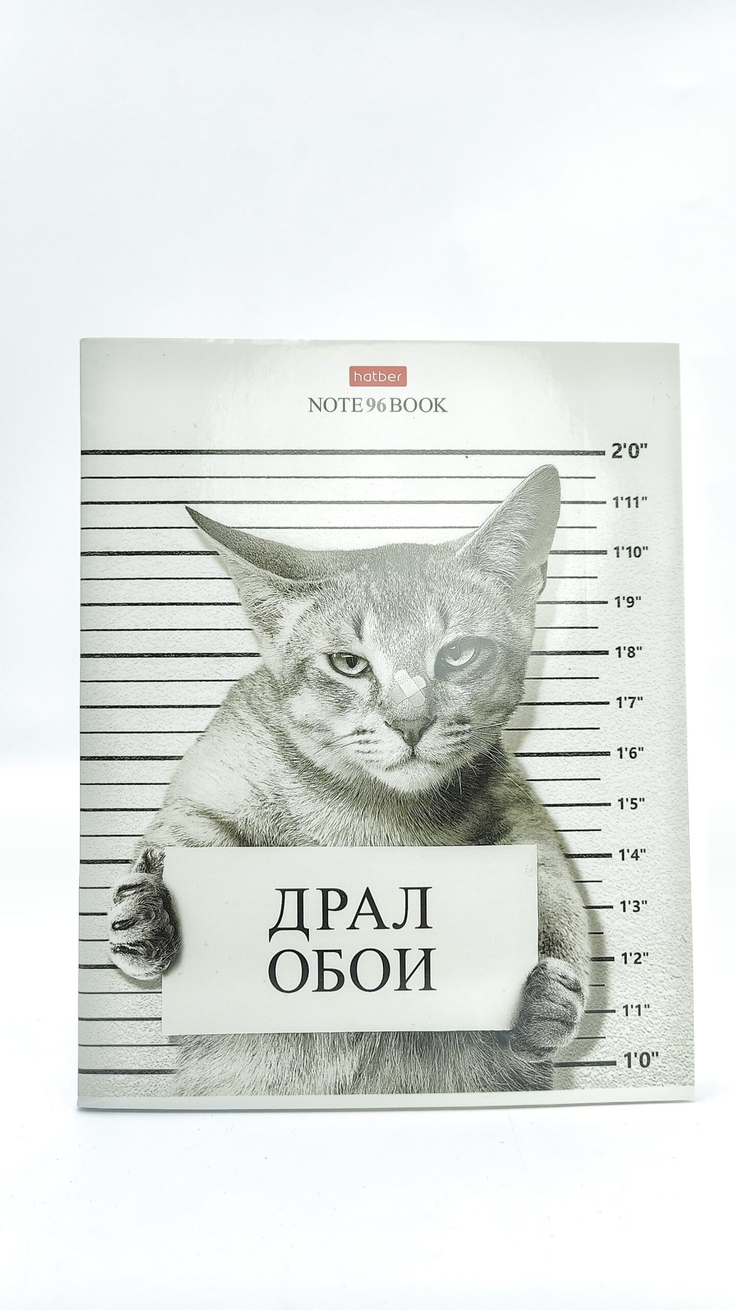 Тетрадь общая Hatber Драл обои 96л арт.18684 Тетрадь общая Hatber Драл обои 96л арт.18684