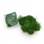 Мох 20гр арт.tr2475