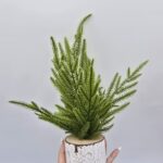 Хвоя на пеньке 30см арт.pt-18