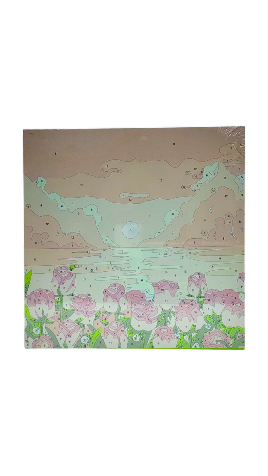 Картина по номерам красками 30*30см арт.stl081 цветы Картина по номерам красками 30*30см арт.stl081 цветы