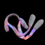 Ободок мех Зайка светящийся арт.tr3183 белый