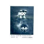 Алмазная мозайка 30*40см арт.gld61567 Щенок с отражением