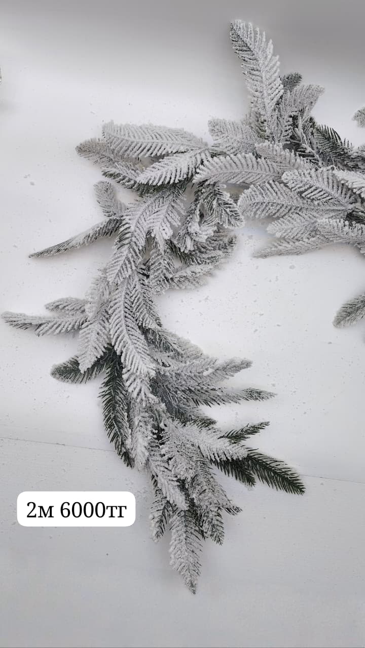 Хвоя заснежная 2м 6000тг Хвоя заснежная 2м 6000тг