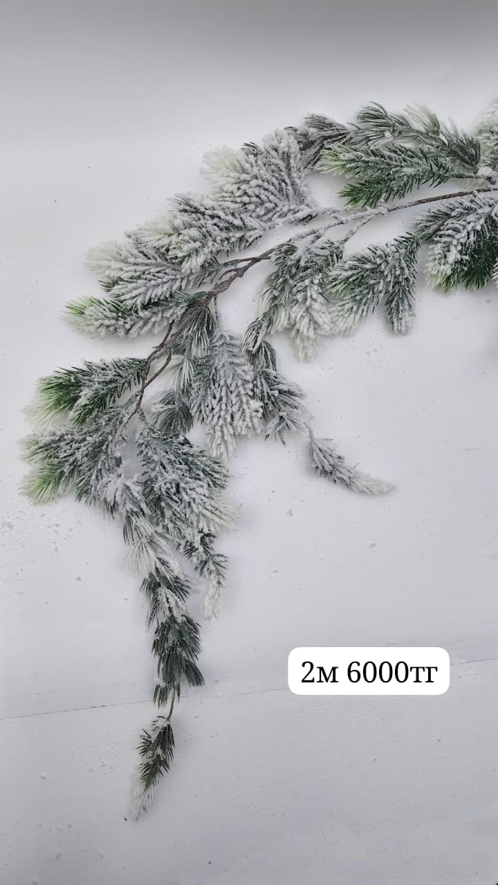 Хвоя заснежная 2м 6000тг Хвоя заснежная 2м 6000тг
